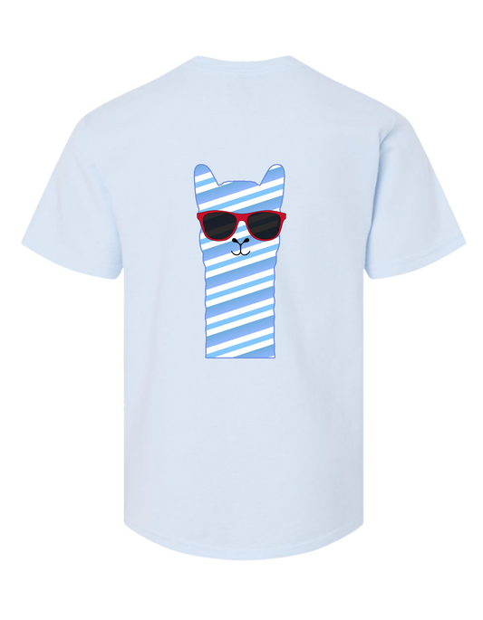 PREORDER-Llama Love Light Blue T-Shirt (Adult and Youth)