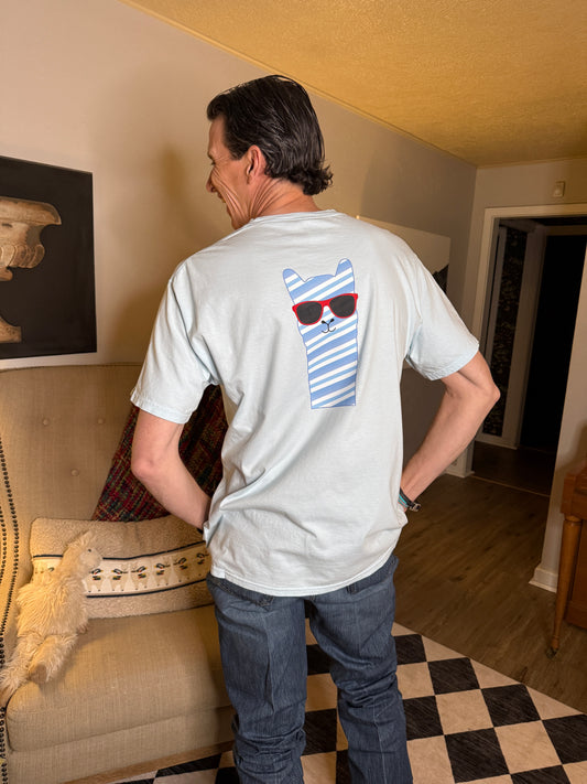 Llama Love Light Blue T-Shirt (Adult and Youth)